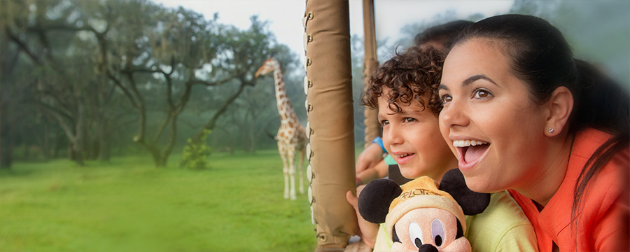On safari at Disney's Animal Kingdom Park