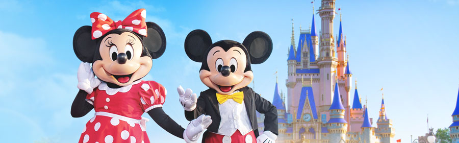 Mickey and friends cinderella castle